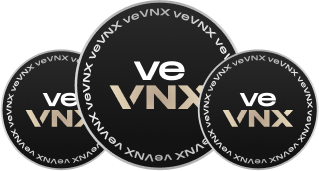 vnx group