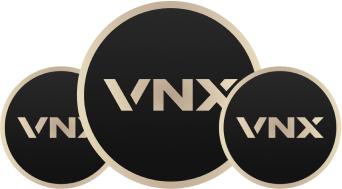 vnx group